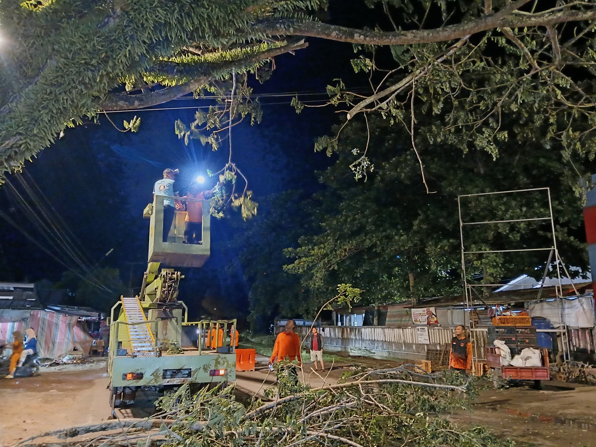 Respons Cepat BPBD Muba Pangkas Pohon Rawan Tumbang, Bupati H M Toha Apresiasi Langkah Sigap Tim Gab